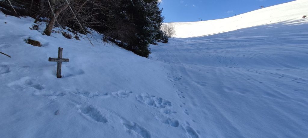Krížik Liptovská Lúžna, Jašicova dolina 03