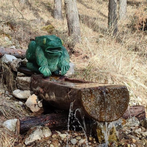 Drinking basin in the Švošov menagerie