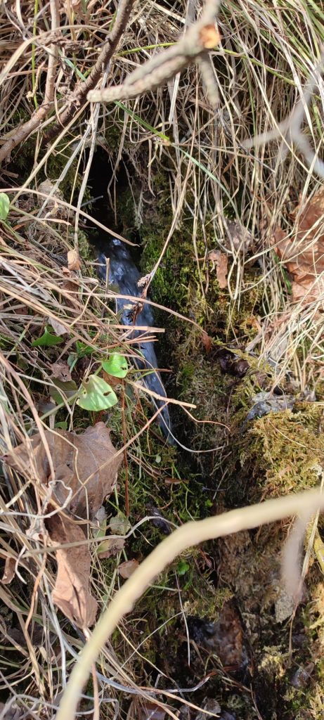 Prameň na ulici S. Nemčeka, Likavka 02 Prameň na ulici S. Nemčeka, Likavka 02