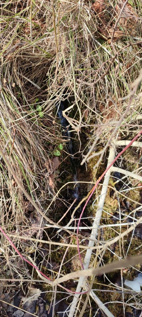 Prameň na ulici S. Nemčeka, Likavka 03 Prameň na ulici S. Nemčeka, Likavka 03