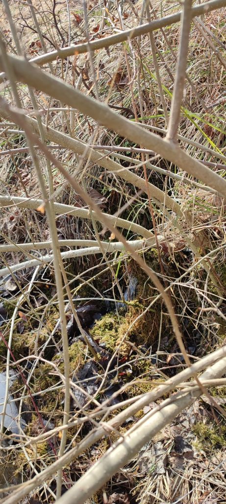 Prameň na ulici S. Nemčeka, Likavka 05 Prameň na ulici S. Nemčeka, Likavka 05