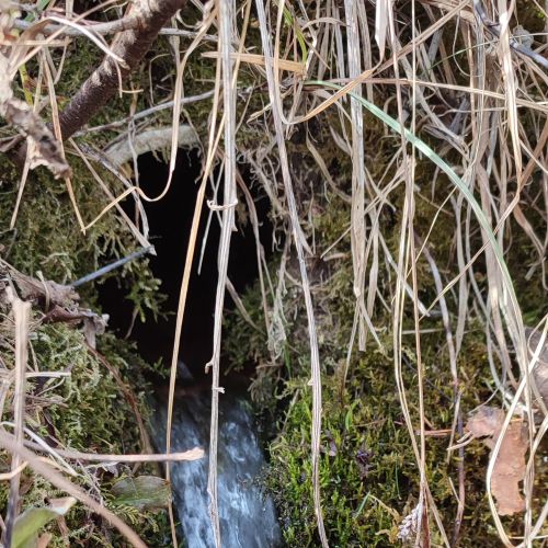 Spring at S. Nemčeka Street, Likavka