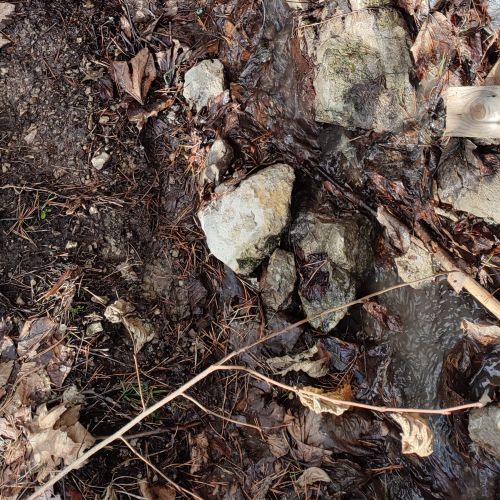 Spring above “Skalky” Street, Švošov