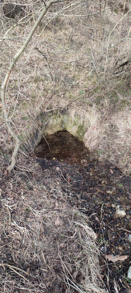 Prameň pod Temným svitom, Martinček 02