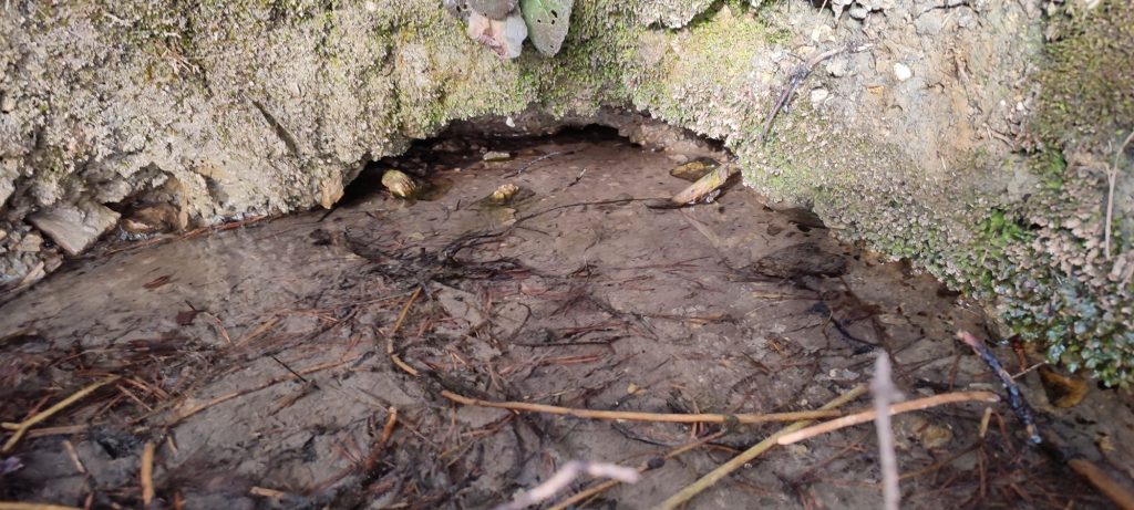 Prameň pod Temným svitom, Martinček 04