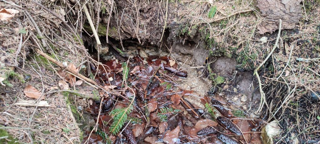 Prameň pod cestou k hradu Likava, Likavka 01 Prameň pod cestou k hradu Likava, Likavka 01