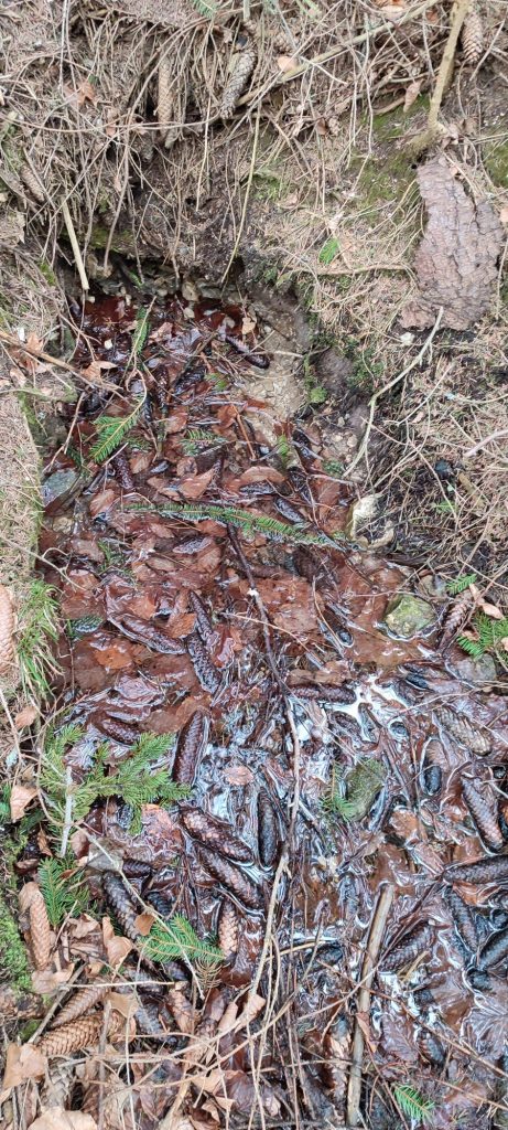 Prameň pod cestou k hradu Likava, Likavka 02 Prameň pod cestou k hradu Likava, Likavka 02