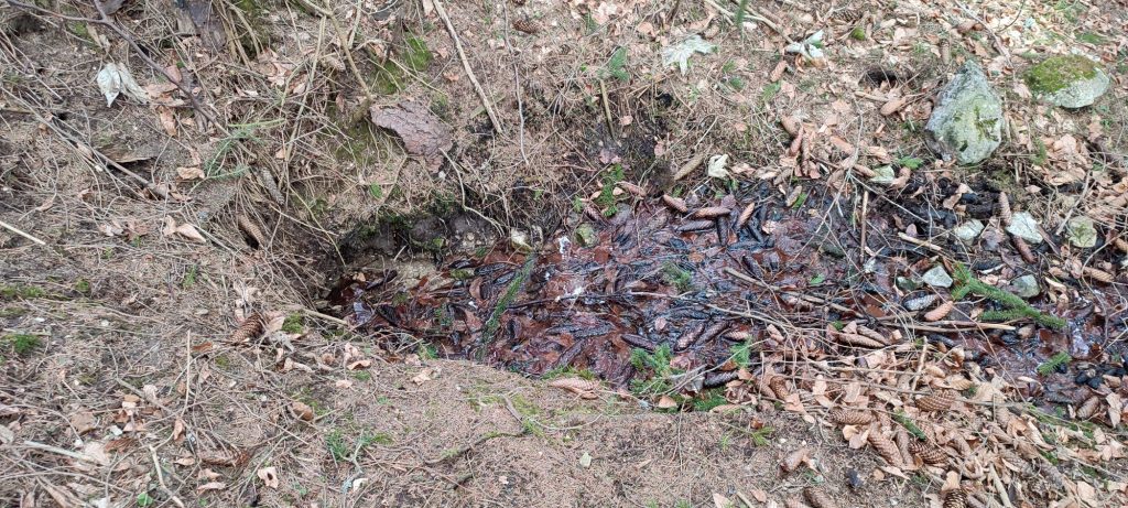 Prameň pod cestou k hradu Likava, Likavka 03 Prameň pod cestou k hradu Likava, Likavka 03