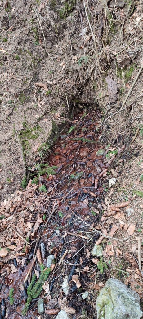 Prameň pod cestou k hradu Likava, Likavka 04 Prameň pod cestou k hradu Likava, Likavka 04