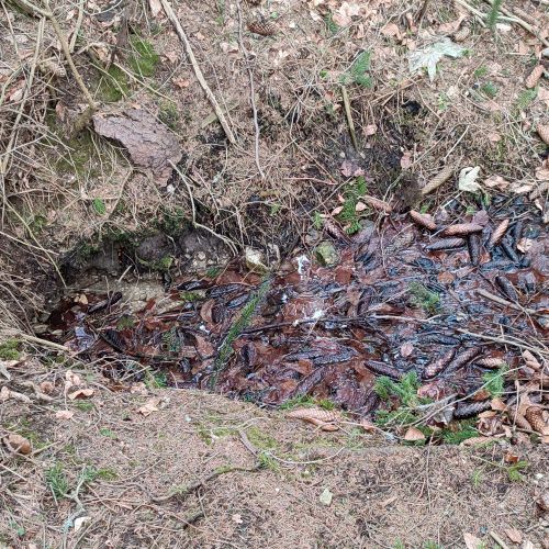 Spring below the road to the Likava Castle, Likavka
