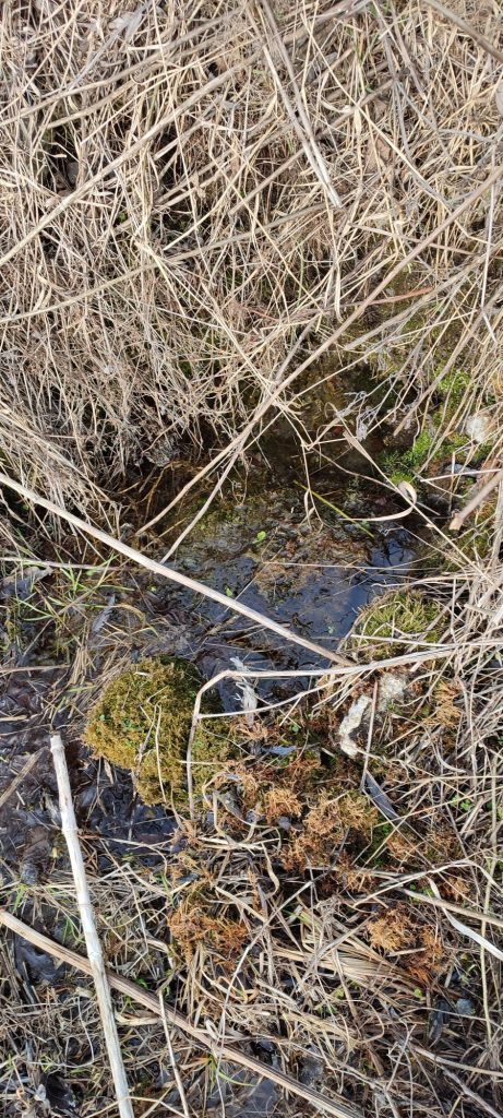Prameň pod cestou nad Predným honom, Martinček 01 Prameň pod cestou nad Predným honom, Martinček 01