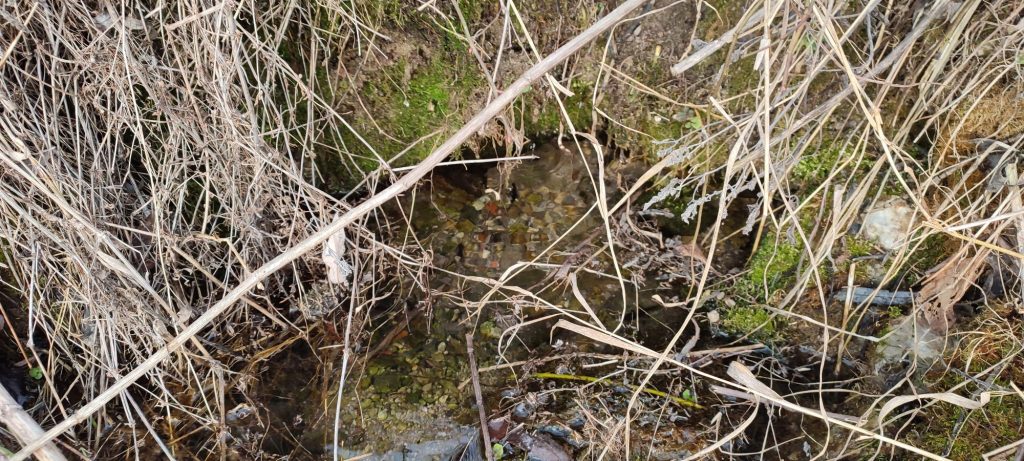 Prameň pod cestou nad Predným honom, Martinček 02 Prameň pod cestou nad Predným honom, Martinček 02