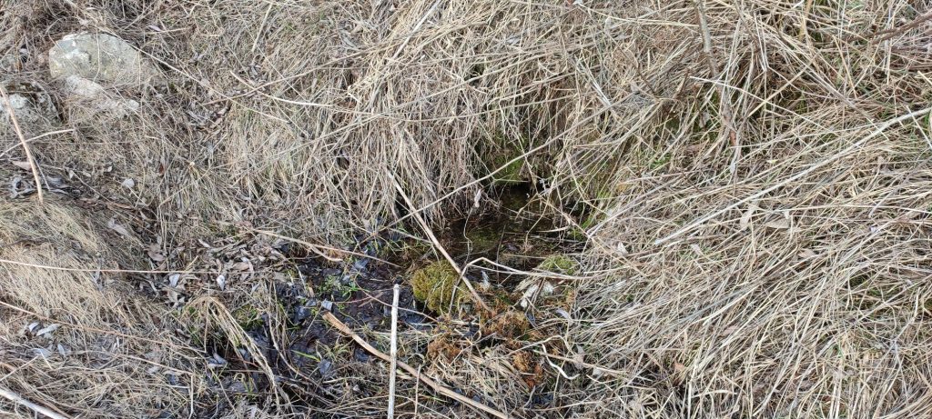 Prameň pod cestou nad Predným honom, Martinček 03 Prameň pod cestou nad Predným honom, Martinček 03