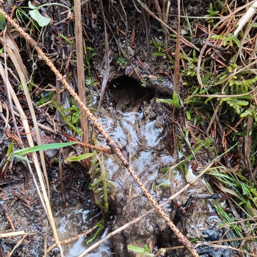 Spring below rocks Kostoly, Komjatná