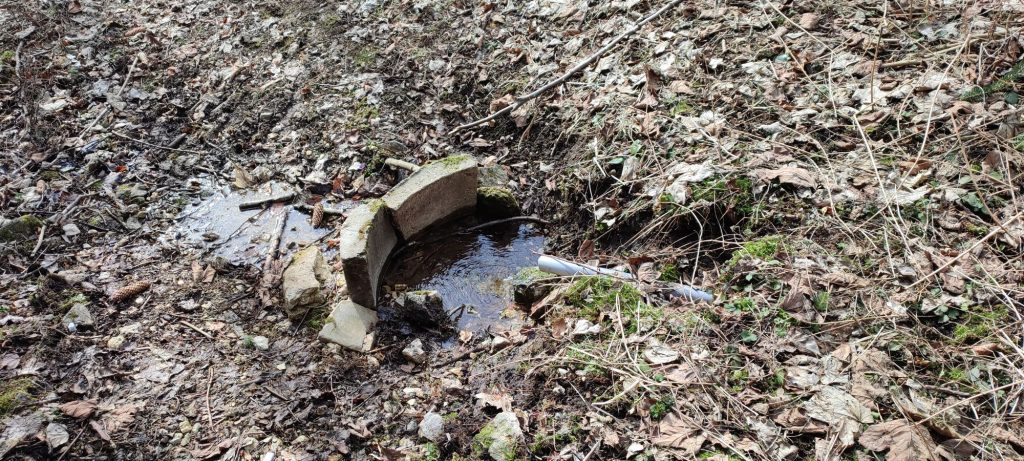 Prameň pri chatke pod hradom Likava, Likavka 06