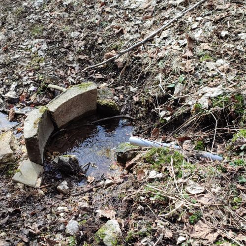 Spring by a cabin below Likava Castle, Likavka