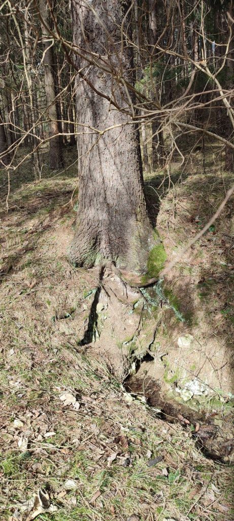 Prameň pri krmelci nad cestou k hradu Likava, Likavka 02