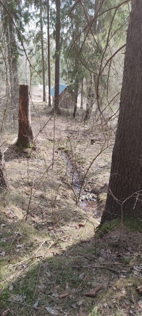 Prameň pri krmelci nad cestou k hradu Likava, Likavka 06