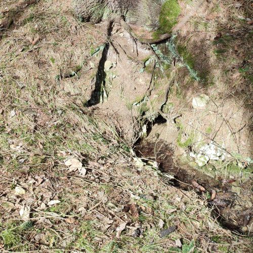 Spring by an animal feeder above the road to the Likava Castle, Likavka