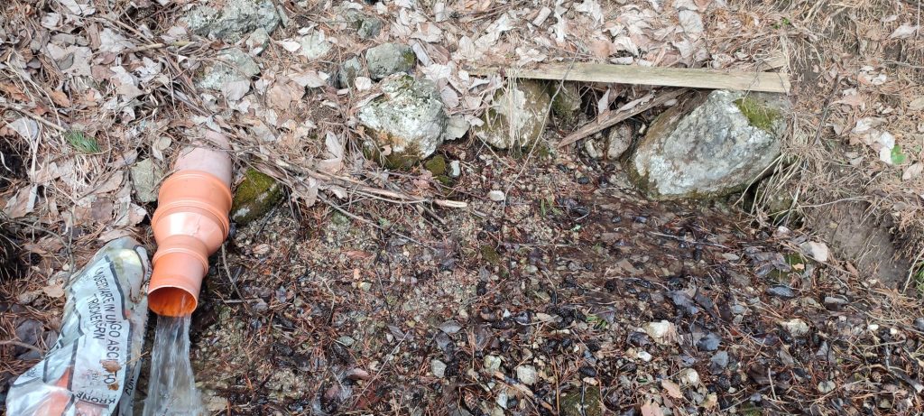 Prameň v Švošovskej zvernici 04 Prameň v Švošovskej zvernici 04