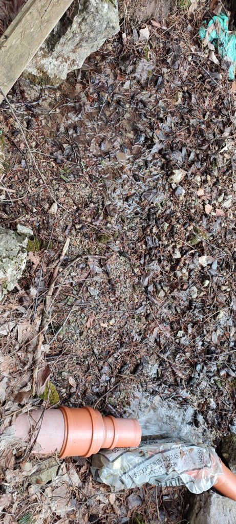 Prameň v Švošovskej zvernici 05 Prameň v Švošovskej zvernici 05