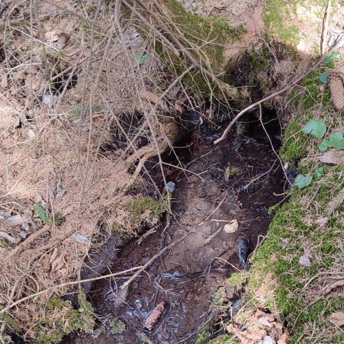 Spring behind Kramariská Farm, Likavka