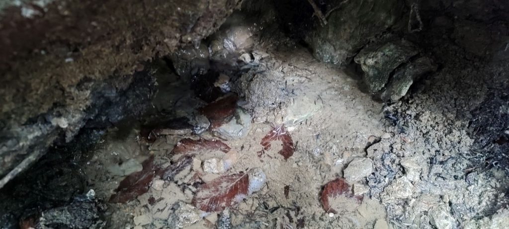 Studnička pod Hrdošom, Švošov 05