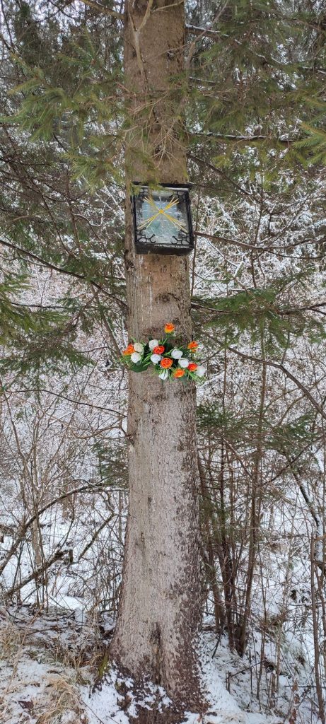 Zastavenie v Komjatnianskej doline, Komjatná 03