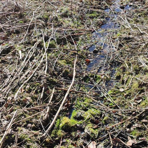 Spring above a well in valley Uhlisko, Ružomberok – Vlkolínec