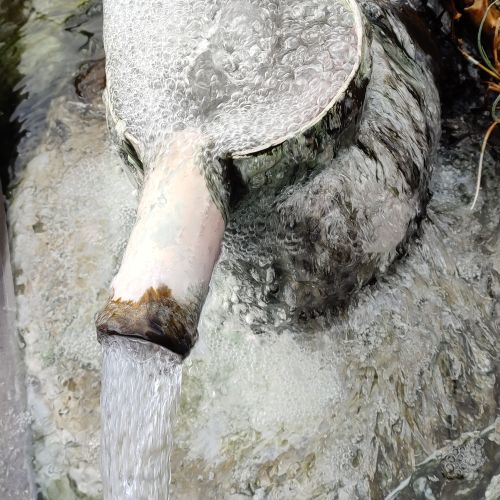 Príroda lieči: Voda, voda, samá voda