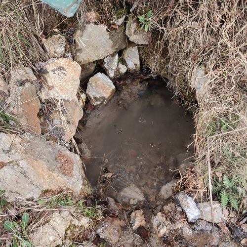 Mineral spring Medokýš below a wooded area, Stankovany