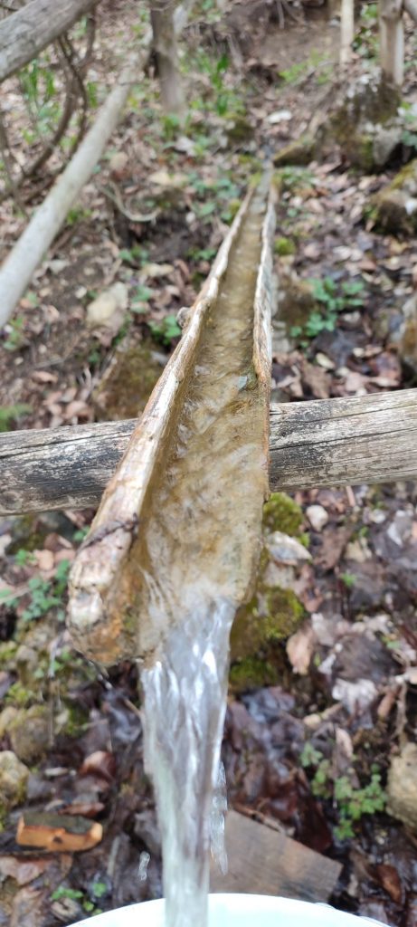 Prameň nad Podšípom predný, Stankovany 02
