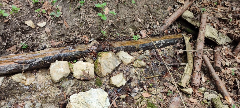 Prameň nad Rybkou, Stankovany 01 Prameň nad Rybkou, Stankovany 01