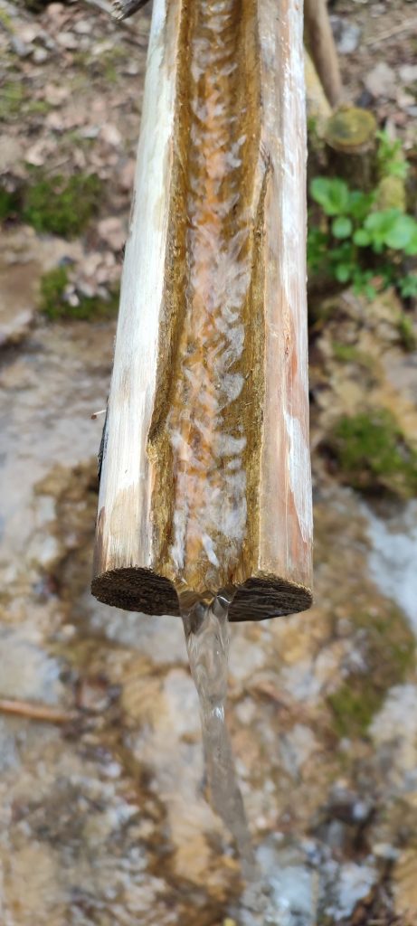 Prameň nad Rybkou, Stankovany 03 Prameň nad Rybkou, Stankovany 03