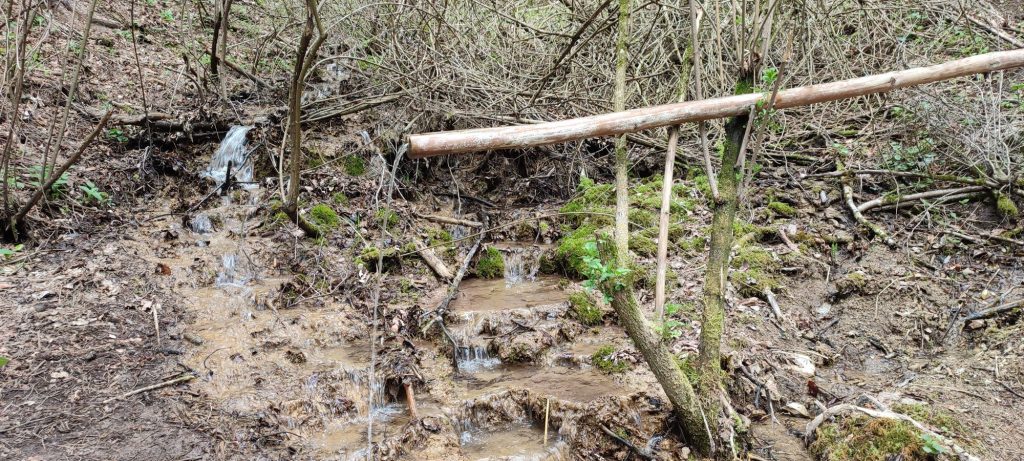 Prameň nad Rybkou, Stankovany 04 Prameň nad Rybkou, Stankovany 04