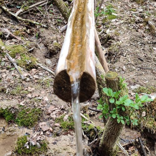 Spring above Rybka, Stankovany