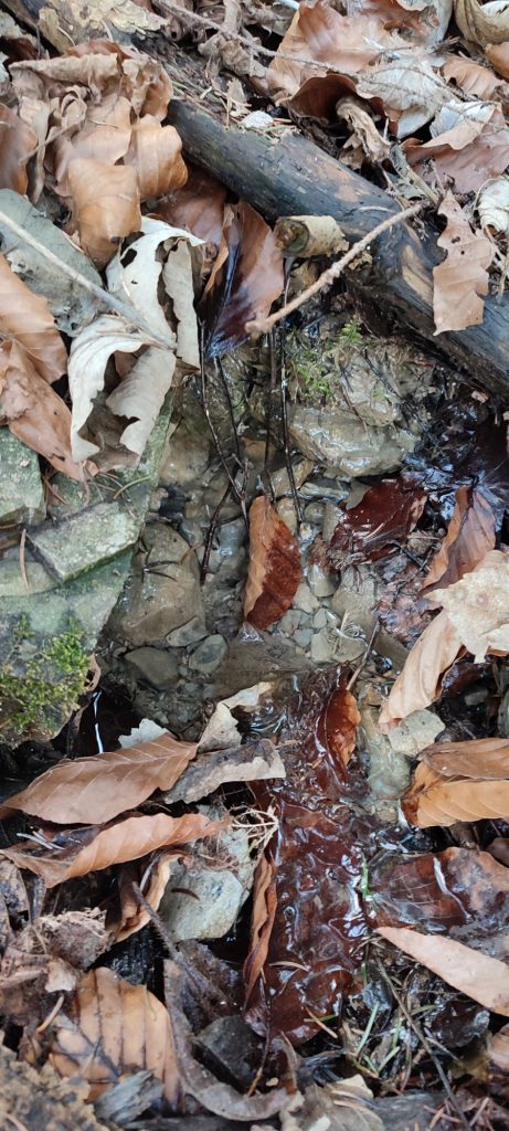 Prameň nad traťou Modrý zamat, Ružomberok 01