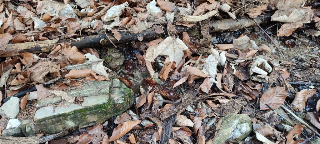 Prameň nad traťou Modrý zamat, Ružomberok 02