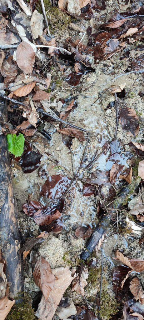 Prameň nad traťou Modrý zamat, Ružomberok 03