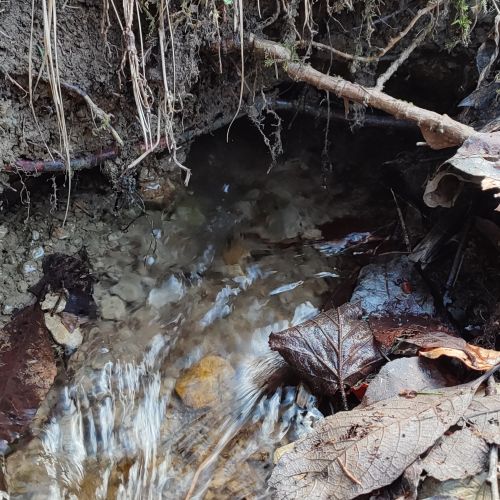 Spring below Haliny 1, Ružomberok