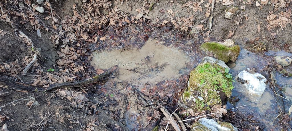 Prameň pod Halinami 2, Ružomberok 01 Prameň pod Halinami 2, Ružomberok 01