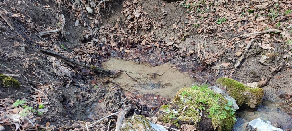Prameň pod Halinami 2, Ružomberok 02 Prameň pod Halinami 2, Ružomberok 02
