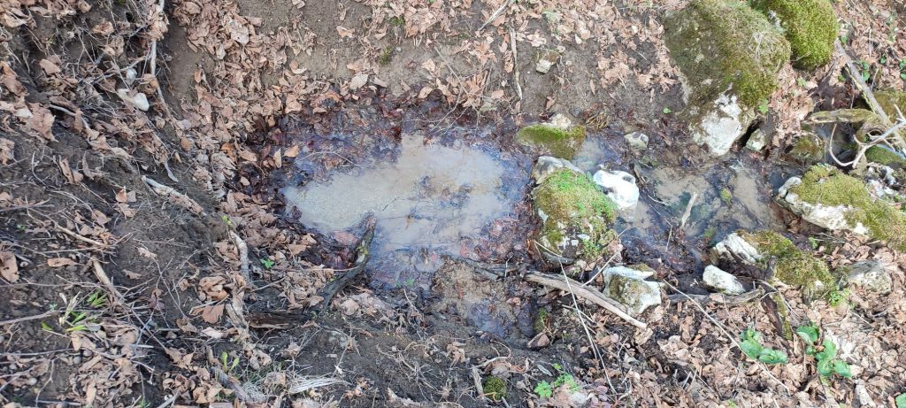 Prameň pod Halinami 2, Ružomberok 03 Prameň pod Halinami 2, Ružomberok 03