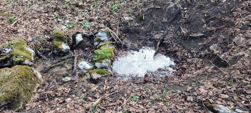 Prameň pod Halinami 2, Ružomberok 04 Prameň pod Halinami 2, Ružomberok 04