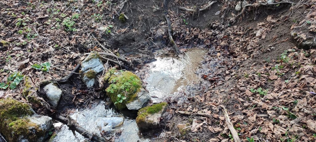 Prameň pod Halinami 2, Ružomberok 05 Prameň pod Halinami 2, Ružomberok 05