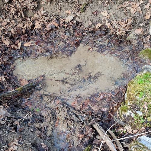 Spring below Haliny 2, Ružomberok