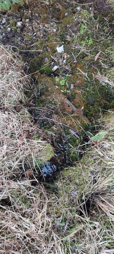 Prameň pri Medvedej ceste panel 3, Ružomberok 01