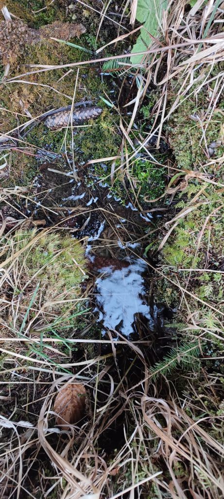 Prameň pri Medvedej ceste panel 3, Ružomberok 02