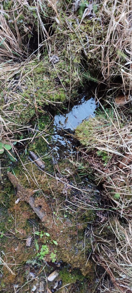 Prameň pri Medvedej ceste panel 3, Ružomberok 03