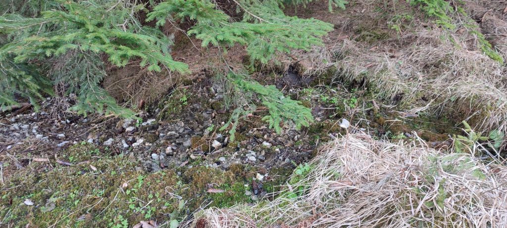 Prameň pri Medvedej ceste panel 3, Ružomberok 05